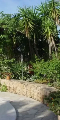 Schöne Villa in der bezaubernden Gegend von San Agustin mit großem Garten