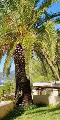 Finca bellamente renovada con impresionantes vistas panorámicas al mar y al atardecer en Benimussa