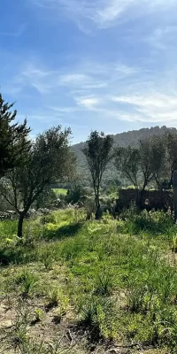 Luxury villa complex in the Heart of Santa Eulalia del Río