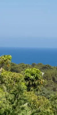 New exclusive listing located in Cap Martinet with rental license