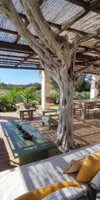 Sehr schöne Villa in Migjorn in einer ruhigen Oase auf Formentera