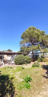 Très belle villa à Migjorn dans une oasis tranquille à Formentera