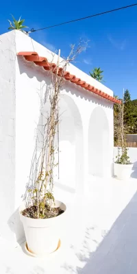 Une maison pleine de confort dans une beauté naturelle à vendre