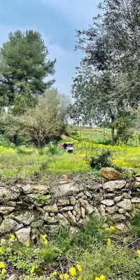 Uitzonderlijk rustiek land met bouwvergunning nabij Santa Gertrudis