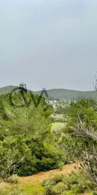 Eccezionale terreno rustico con licenza di costruire vicino a Santa Gertrudis