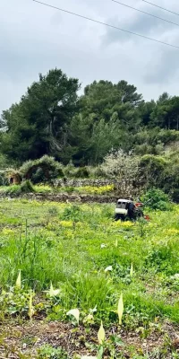 Außergewöhnliches rustikales Grundstück mit Baugenehmigung in der Nähe von Santa Gertrudis