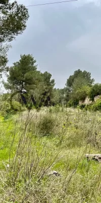 Eccezionale terreno rustico con licenza di costruire vicino a Santa Gertrudis