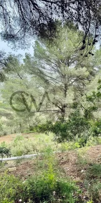 Eccezionale terreno rustico con licenza di costruire vicino a Santa Gertrudis