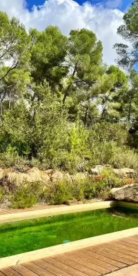 Finca avec six chambres située à Cala Jondal !