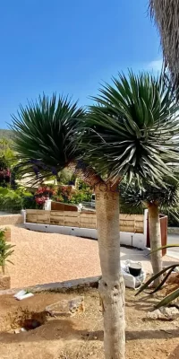 Incredibile riduzione di prezzo per villa con spettacolare vista sul mare a Can Furnet