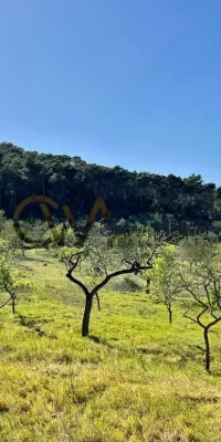 Ruine zum Verkauf in San Rafael, Ibiza – Bauen Sie an diesem fantastischen Ort ein rustikales Juwel wieder auf