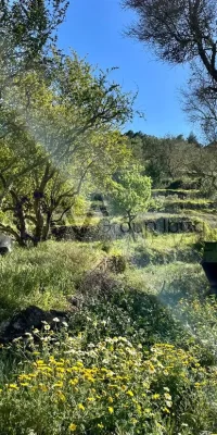 Ruina en venta en San Rafael Ibiza – Reconstruya una joya rústica en esta fantástica ubicación