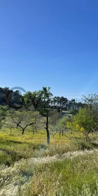 Ruine zum Verkauf in San Rafael, Ibiza – Bauen Sie an diesem fantastischen Ort ein rustikales Juwel wieder auf