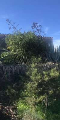 Traditionelles Haus im Formentera-Stil zum Verkauf in der Gegend von Es Cap