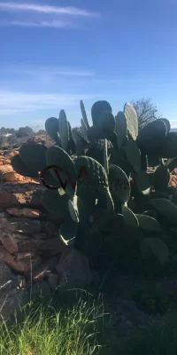 Casa tradicional formenterense en venta en la zona de Es Cap