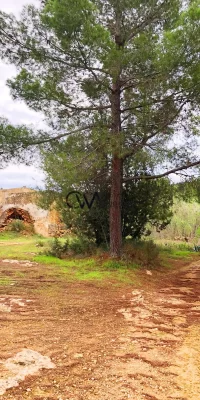 Opportunité unique – 72 000 m² de terrain avec ruines à vendre à San Agustin