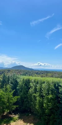 Lussuosa villa privata a Vista Alegre con splendida vista sul mare