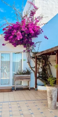 Charming house in quiet Siesta area for sale